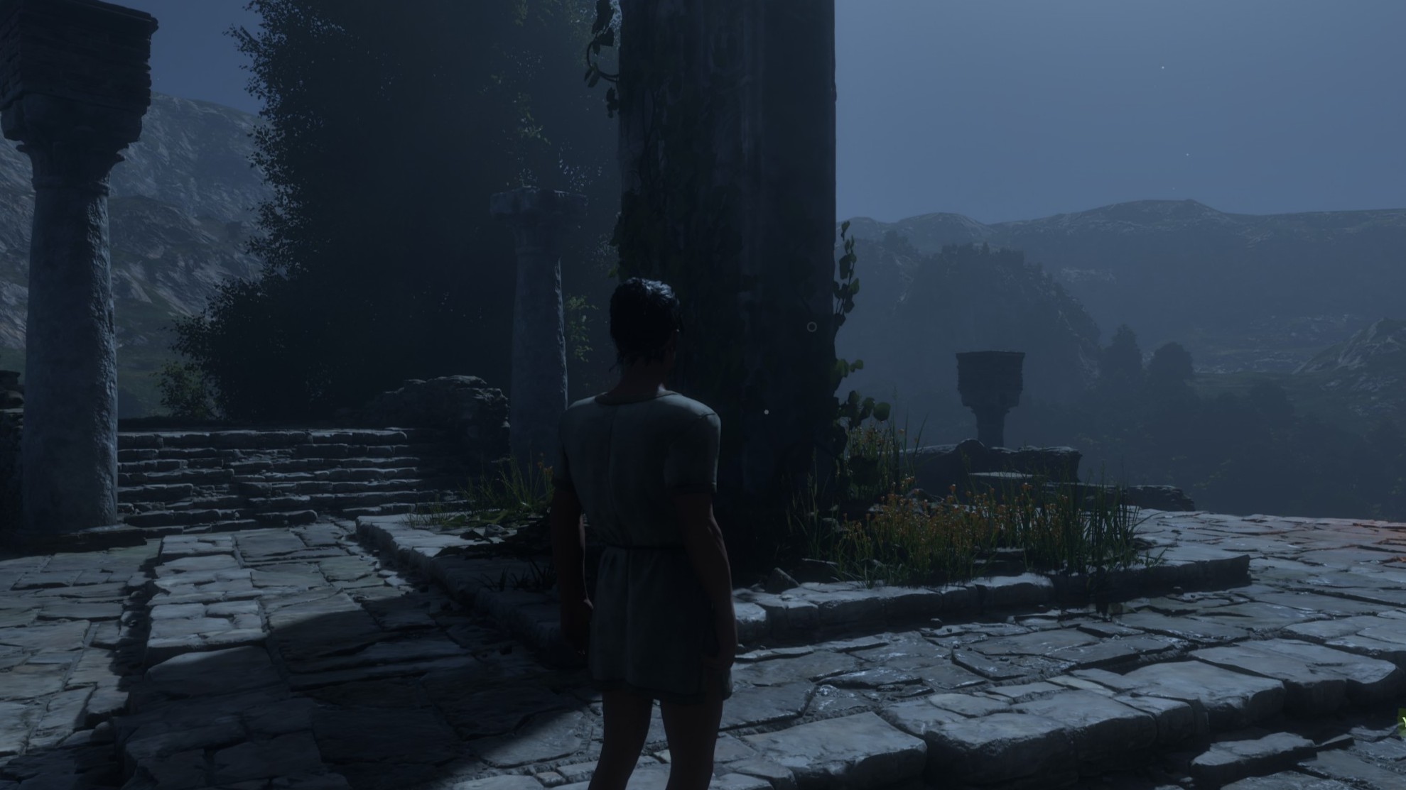 『Pax Dei』の広大な平原を背景に、初期装備のキャラクターが自分のプロット（領地）を見下ろしているイメージ画像。